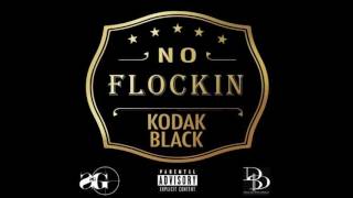 Kodak Black  No Flocking clean [upl. by Ahsenar320]