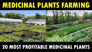 Most profitable Medicinal Plants farming in India  Medicinal Plants Cultivation Business [upl. by Hgielek436]