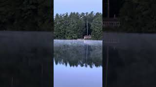 Musing over the morning mist on the lake [upl. by Charissa728]