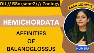 Affinities of balanoglossusZoologysem 1  Osmania University humera [upl. by Leslie352]