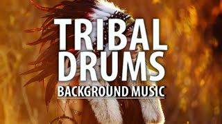 Tribal Drum Percussion Background Music  Cinematic Drums Music [upl. by Eneryc]