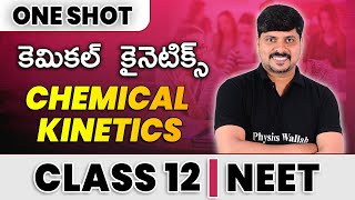 CHEMICAL KINETICS in 1 Shot  All Concepts amp PYQs Covered  Class 12  NEET [upl. by Bunker801]