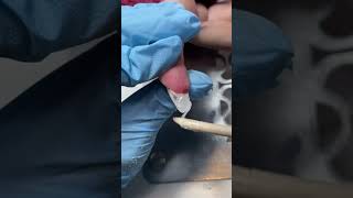 Nail Beak Correction🫡 nails nailtutorial brokennail nailrepair manicure acrygel manicurarusa [upl. by Jorge]