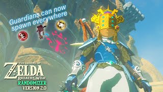 The BotW Randomizer WAS NICE TO ME [upl. by Eirdua]