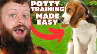 How To Potty Train Your Puppy Easily [upl. by Kovar]