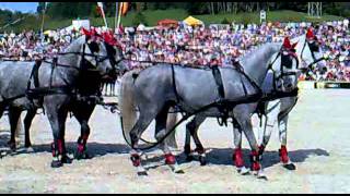 1 Hengstparade Marbach 2011  Hansjörg Hammann mit seinem LipizzanerGespann beim Hindernisfahren [upl. by Atinuhs459]