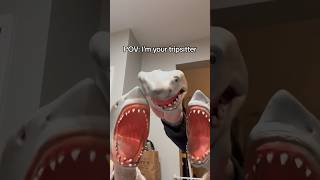 POV Shark Puppets your trip sitter [upl. by Ellehsad]