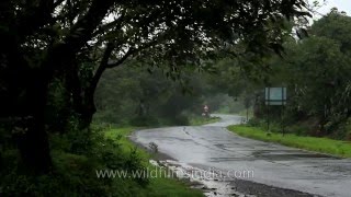 Road to Satara from Mahabaleshwar [upl. by Nortad]