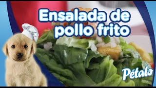 Ensalada de pollo frito con pico de gallo Tu Cocina Pétalo® [upl. by Notslar113]