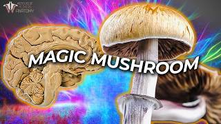 What Psilocybin Does to Your Brain  Can It Improve Mental Health [upl. by Anelej860]