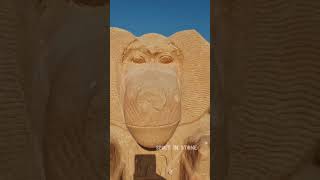 ANCIENT Egyptian BABOON🐒 Ramesseum Luxor [upl. by Laws]