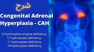 شرح CAH  Congenital Adrenal Hyperplasia كما لم تسمعها من قبل [upl. by Mozelle947]