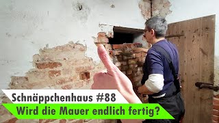 Schnäppchenhaus Bauvlog 88 🏡 Mauern Löcher und Gräben [upl. by Bywaters319]