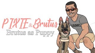 Puppy Brutus  Pixie and Brutus Comic Dub [upl. by Gussi]