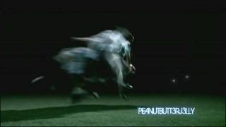 Lionel Messi 20092011  Not Afraid HD Official Video [upl. by Nnylyar108]