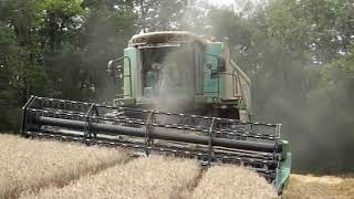 Fendt combine 6300 C AL  Moissonneuse batteuse ► Agrisscom  Blé [upl. by Ku776]