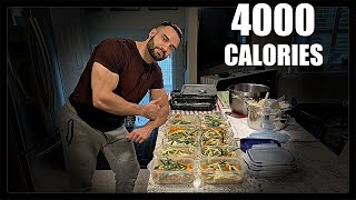 4000 Calories A Day  Meal Plan For Muscle Gain [upl. by Vaden]