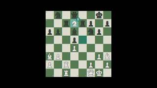 Classic Ivanchuk [upl. by Doelling]