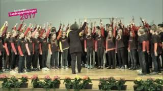 Unterstufenchor St Rupert MPG St Rupert  Landesjugendsingen 2017  FS1 [upl. by Holihs]