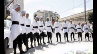 Dabke Asala Yousef [upl. by Issirk]