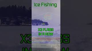 Ice Fishing 3 Flags In A Row icefishing [upl. by Aiekram552]