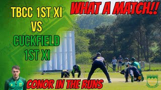 9 WICKETS DOWN TENSE FINISH TBCC 1st XI vs Cuckfield 1st XI  Cricket Match Highlights [upl. by Leoj491]