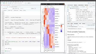 Make a simple heatmap of differentially expressed genes in R [upl. by Lucretia]