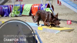 European Open Agility Champion 2018 • Max Sprinz amp Bäxx [upl. by Oloap]