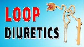 Furosemide Mechanism and Side Effects [upl. by Doralyn]