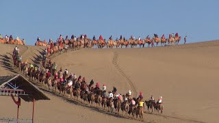 Silk Road 05  Dunhuang experience camel caravan just like in ancient Chinas silk road era [upl. by Pohsib]