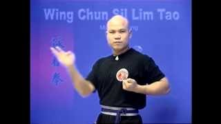 Wing Chun kung fu siu lim tao  form applications Lessons 210 [upl. by Benildis605]