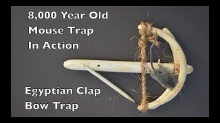 8000 Year Old Style Mouse Trap The Egyptian Clap Bow Trap In Action [upl. by Gosser1]