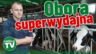 Obora superwydajna a w niej krowy które długo żyją Prowadzi ją biolog  pan Patryk [upl. by Narine]