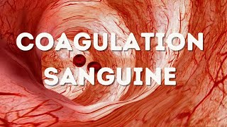 COMPRENDRE COAGULATION EN 9 MIN FACILE [upl. by Adlen]