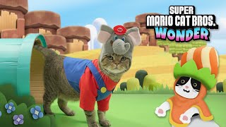 Super Mario Cat Goro Turned into an Elephant [upl. by Klecka]