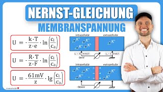 NernstGleichung Physiologie  Membranspannung  Physikum M1 Übungsaufgaben [upl. by Enelyam]