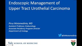 Endoscopic Management of UTUC  EMPIRE Urology Lecture Series [upl. by Slayton513]