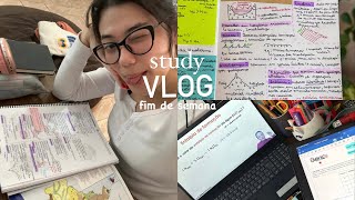 study vlog  eu amo estudar fim de semana [upl. by Nelyk]