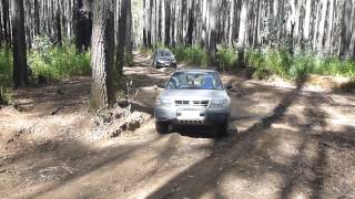 Subaru Forester Off Road  Bunyip State Park  Little Bunyip Track Bog [upl. by Carlock]