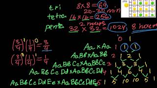 How Mathematically to Determine the Phenotypic Ratio of a ANY Hybrid Cross [upl. by Danni]