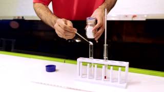 CTSC practical experiment Endothermic amp exothermic reactions [upl. by Adihsar560]