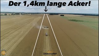 Der 14km lange Acker 1700ha Getreide Großeinsatz Getreideernte Team Westhoff Agrar Roggen Dreschen [upl. by Hills]