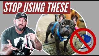 Stop using retractable leashes and harnesses on your dog [upl. by Gean676]