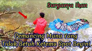 Mancing Ikan Langka Dipedalaman Hutan Kalimantan [upl. by Elaina]