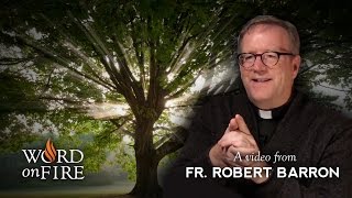 Bishop Barron on The Genealogy of Jesus [upl. by Biagi274]