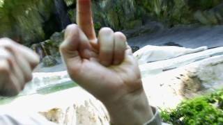 Flipping Off Zoo Animals [upl. by Kamerman]