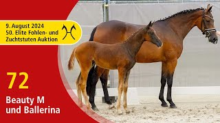 50th Elite Foal and BroodmareAuction  Aug 9th  No 72 Ballerina by Barbarossa  Benicio [upl. by Beaudoin515]