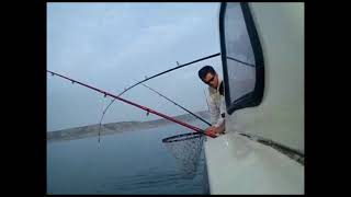 Gower Fishing Swansea [upl. by Bowler]