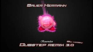 Bauer Hermann Dubstep Remix 30 Kirby Edition [upl. by Yelena]