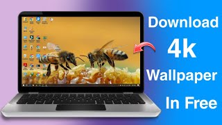 How To Download 4K Wallpapers  Thems For LaptopPC  Edition 2024 [upl. by Garwin]